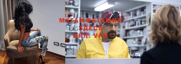 индика Ельня